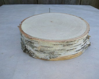 7"-8" White Birch Wood Slice, 7-8 inch wood slab