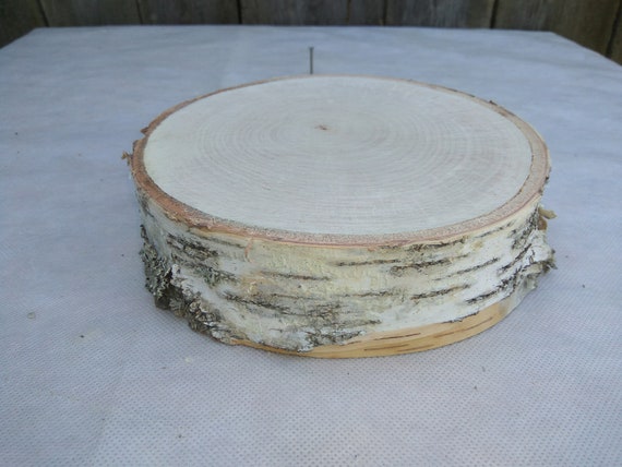 78 Large Birch Wood Slice 7 8 Inch Wood Slab Etsy