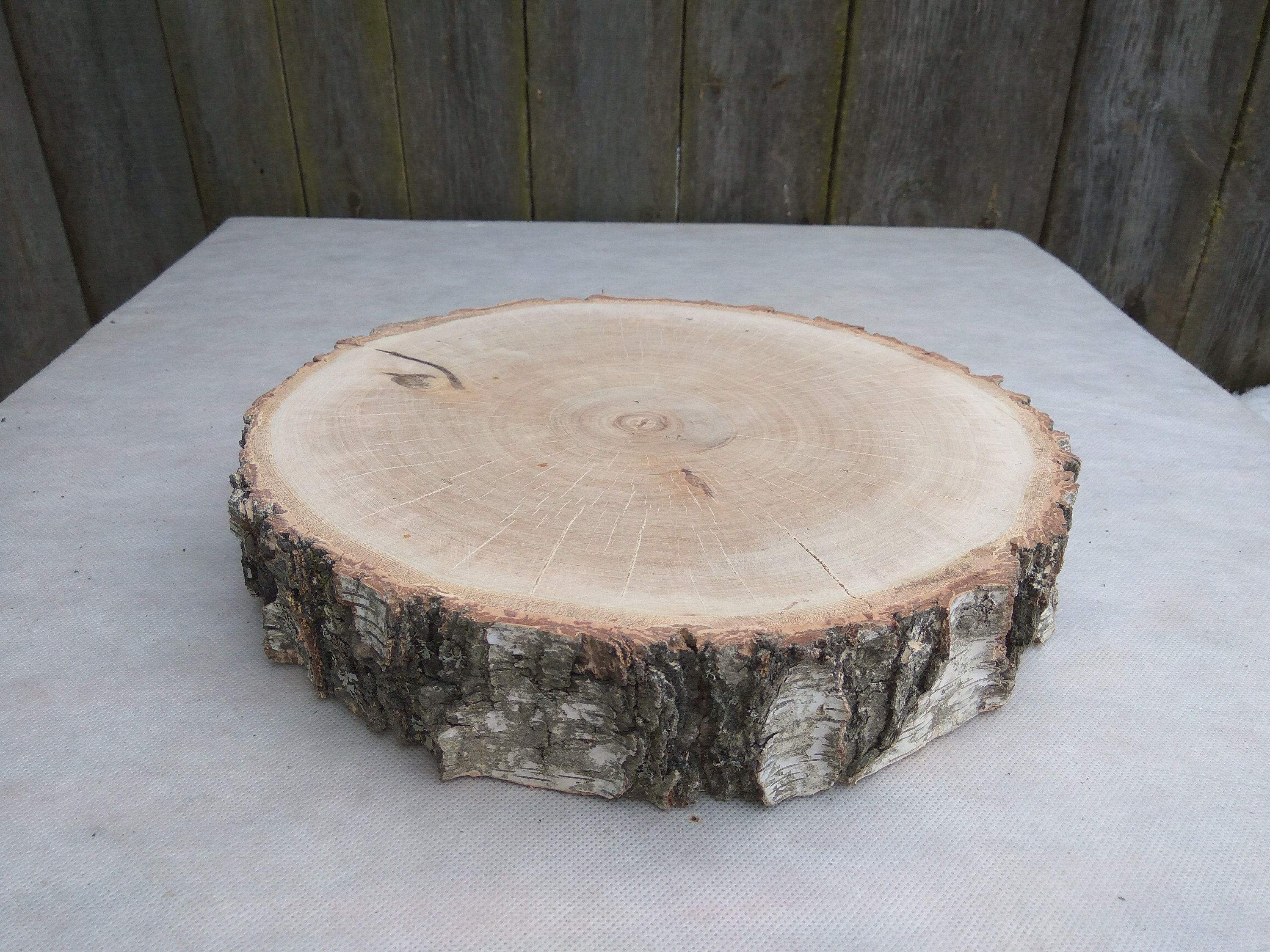 1113 inch Large Birch Wood Slice 1113 wood Etsy