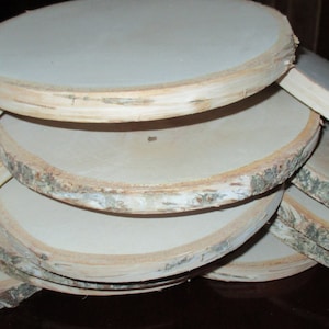 Large Birch Wood Slice 9 -10 inch,9&quot;-10&quot;wood slice,wood coaster,wood slab,wood platter,Rustic Wedding Decor, Cake Stand, Wedding Centerpiece