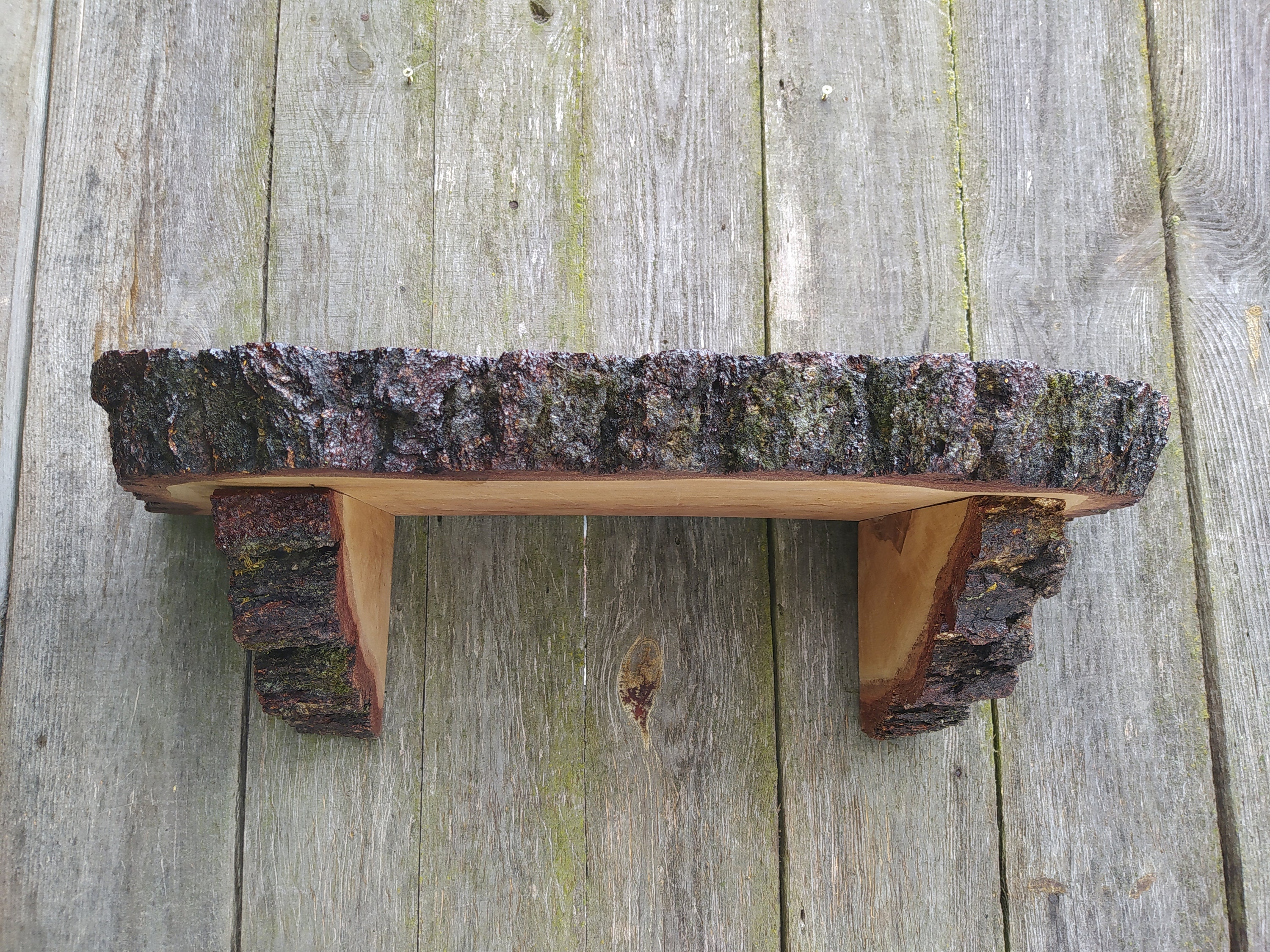 Floating Shelf Rustic Wood Shelf Live Edge Large Birch Wood Etsy