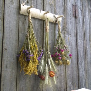 White Birch Rack, Country Rustic, Primitive Decor, Wall Decor, Natural Rustic Decor,Dried Flower Rack, Dried Flower Decor, Hanging Decor image 3