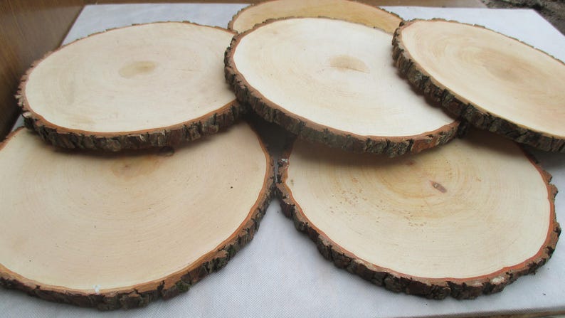 1213,Large Alder Wood Slice 12-13 inch,wood slice,wood slab,wood coaster,wood platter,Rustic Wedding Decor,Cake Stand,Wedding Centerpiece image 7