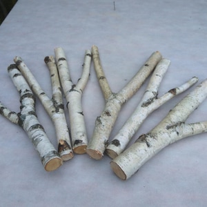 6 large forked wood sticks, birch sticks, wood decor, Birch Log, White Birch branches, decorative birch wood, birch logs,craft wood,eco wood