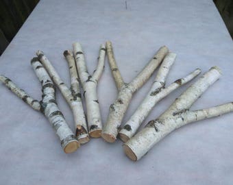 6 large forked wood sticks, birch sticks, wood decor, Birch Log, White Birch branches, decorative birch wood, birch logs,craft wood,eco wood