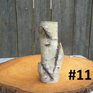 Tall wood vase, White birch vase image 4