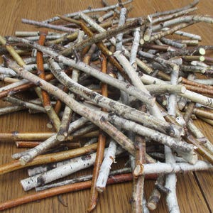 50 small birch wood sticks, birch sticks