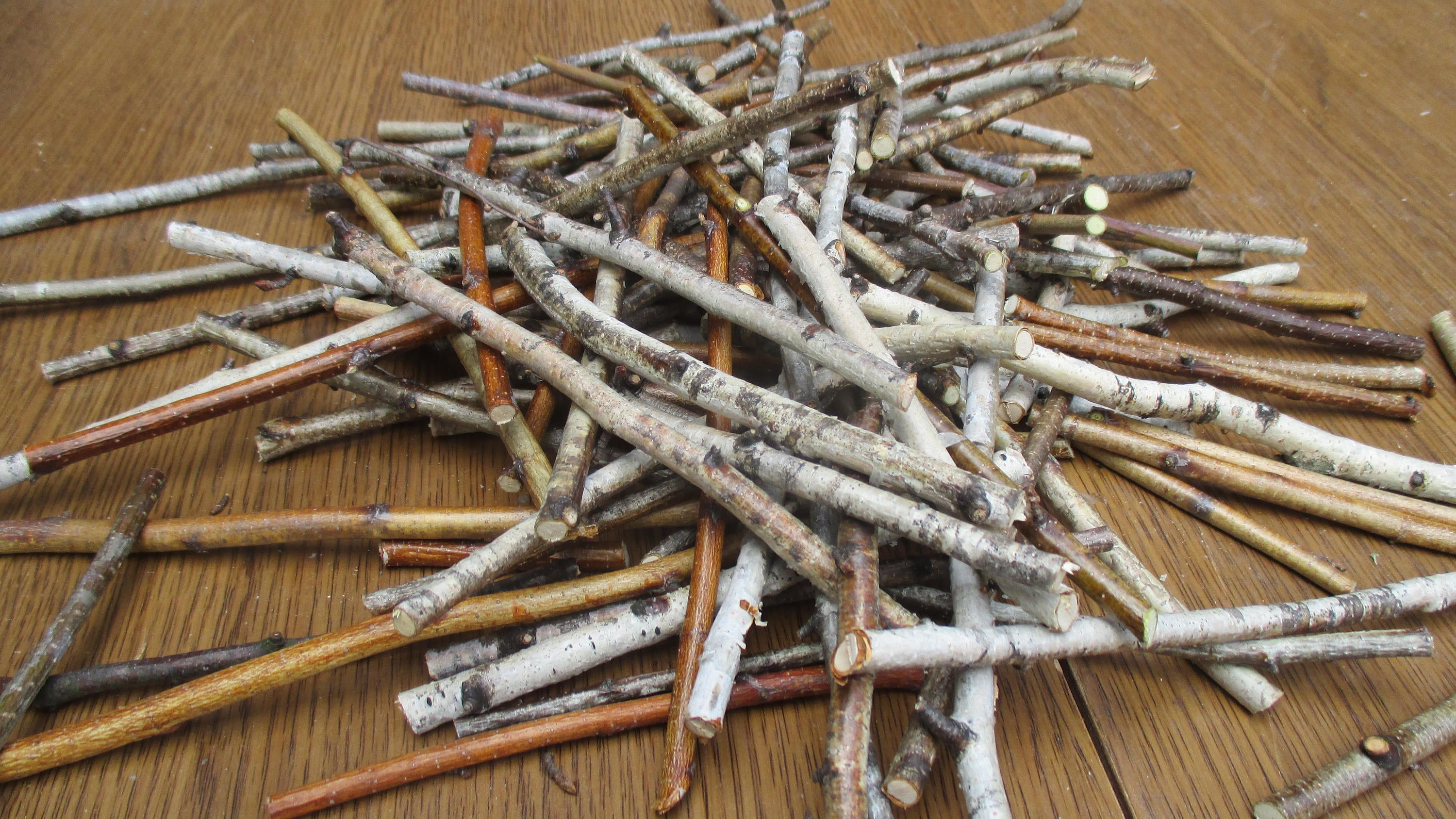 50 Small Birch Wood Sticks Birch Sticks Etsy 50 Small Birch Wood Sticks Birch Sticks Etsy