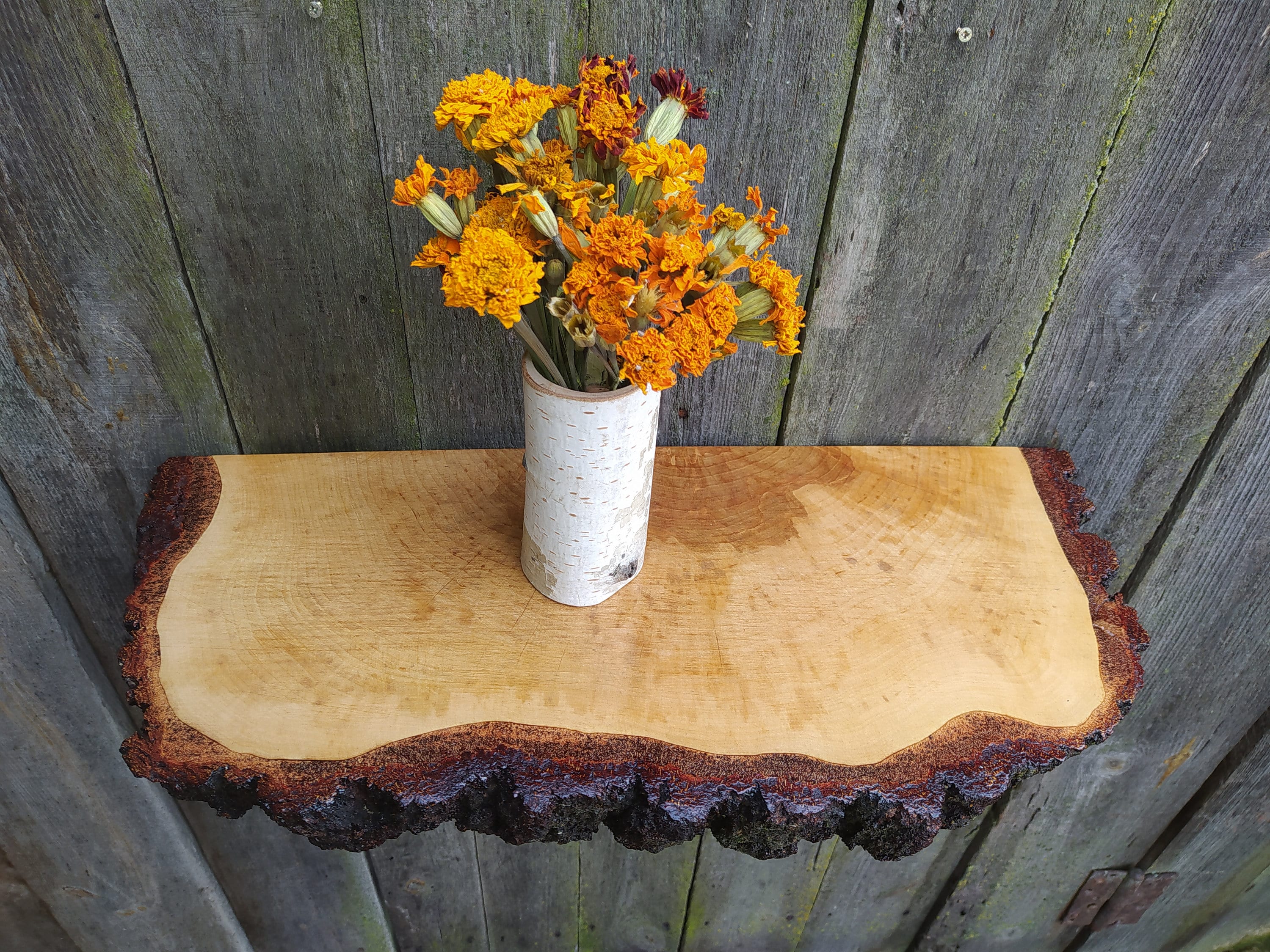 Floating Shelf Rustic Wood Shelf Live Edge Large Birch Wood Etsy