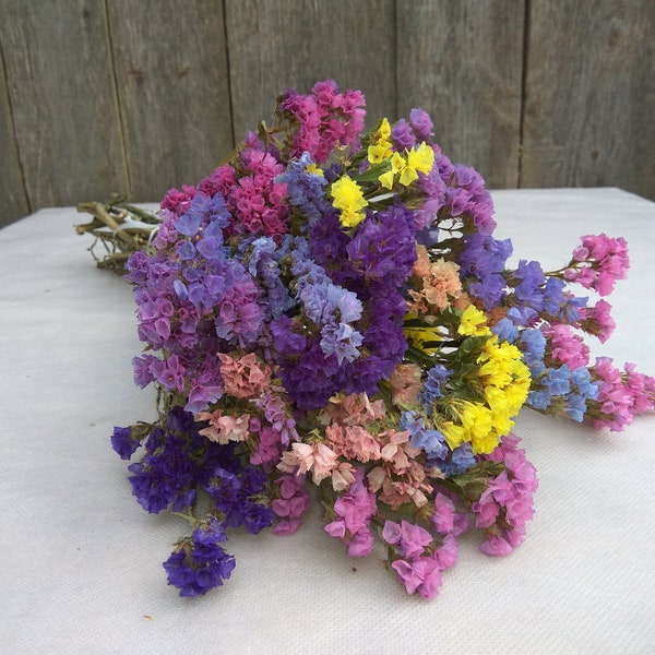Dried statice, Mix of colors, dried limonium, statice bouquet, dried statice mix