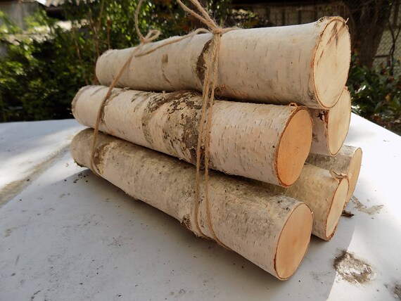 White Birch Logs 6 Rustic Craft Supply Image 0