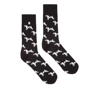 Jack Russell dog Socks