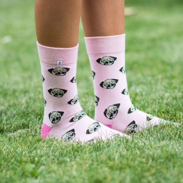 Pugs dog on pink Socks