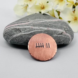 May include: A circular copper disc with a brushed texture featuring a stamped tally mark design consisting of five horizontal lines crossed by a vertical line and two additional vertical lines, resting in front of a smooth grey stone.
