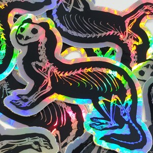 Ferret Skeleton : Holographic Die Cut Weather Resistant Vinyl Sticker