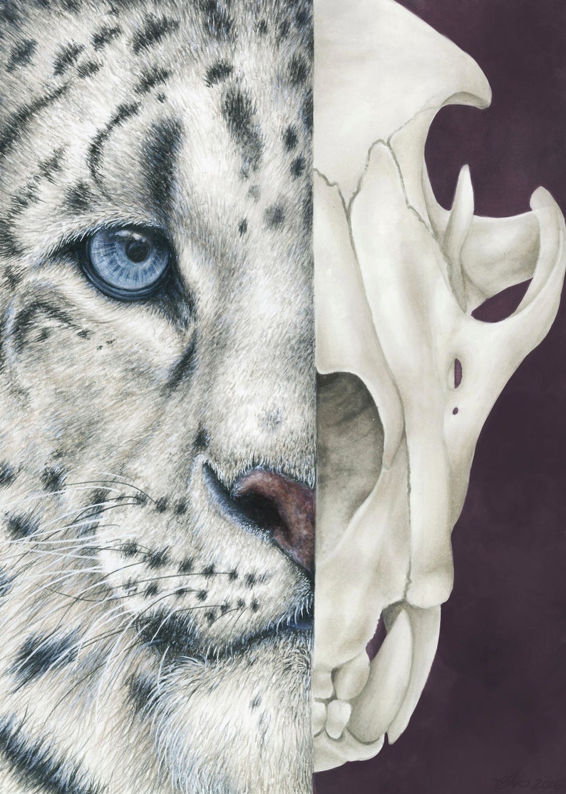 Snow Leopard Skull Aesthetic Wall Art Poster Print - Etsy
