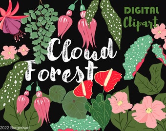 Cloud Forest / planificateur clip art / PNG / téléchargement instantané / transparent / autocollants d’art / plantes exotiques / plantes rouges / plantes luxuriantes / plantes forestières