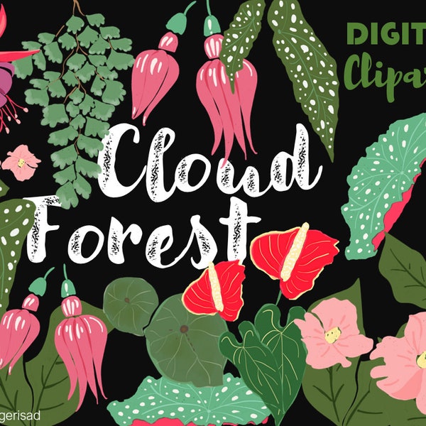 Cloud Forest /planner clip art/ PNG/ instant download/ transparent/ art stickers/ exotic plants/ red plants/ lush plants/ forest plants
