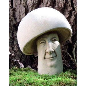 Mushroom Decor, Toadstool Sculpture for Home & Garden, Mushroom with Funny Face, Mushroom Garden Art, Kitchen Decor, &quot;A Fun-gi&quot; Stone