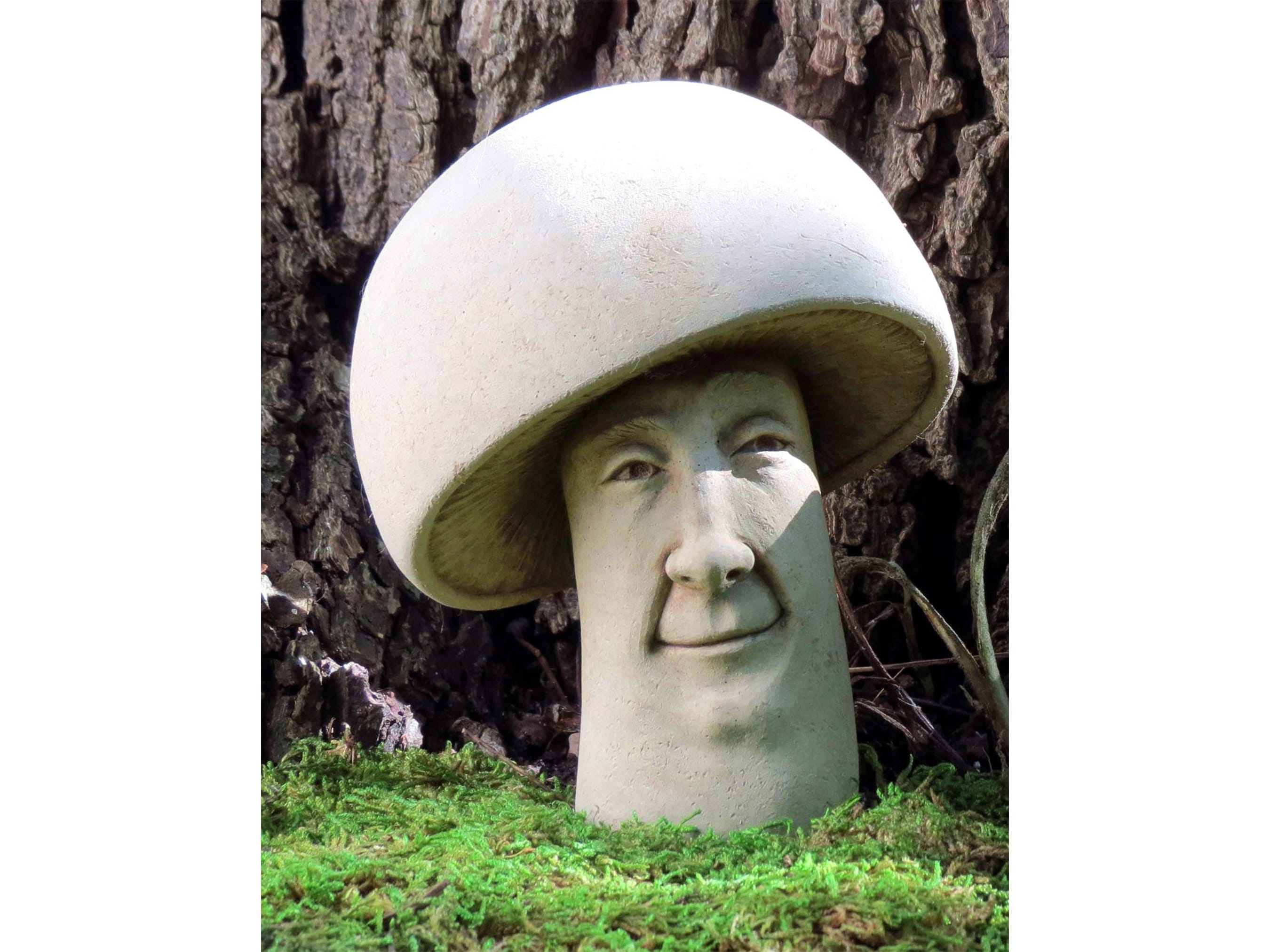 Décoration champignon, sculpture de champignons vénéneux pour la maison et  le jardin, champignon avec grimace, oeuvre d'art champignon dans le jardin,  décoration de cuisine, pierre A Fun-gi -  France