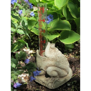Rain Gauge for Home & Garden, Frog Art Sculpture, Frog and Toad Garden Decor, Reptile Art Stone Sculpture, Frog Figurine, Frog Garden Statue