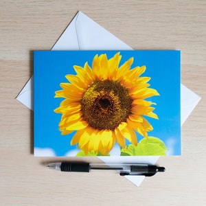 Tarjeta de felicitación de girasol de verano con interior en blanco. Tarjeta fotográfica con flores, para cumpleaños, aniversario, jubilación, agradecimiento y para el Día del Padre.