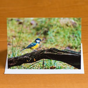 Tarjeta de felicitación de carbonero común. Interior en blanco para usar como tarjeta de cumpleaños, aniversario, agradecimiento, jubilación, nuevo hogar o Día del Padre.