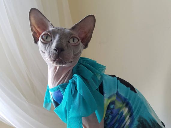 t shirt for cat