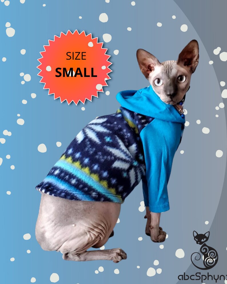 small cat sweater