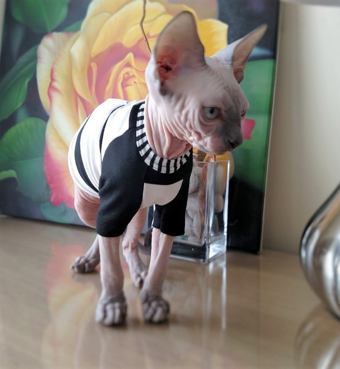 Shirt for Cat Size SMALL / Tshirt for Cats/cat Clothes /cat Etsy