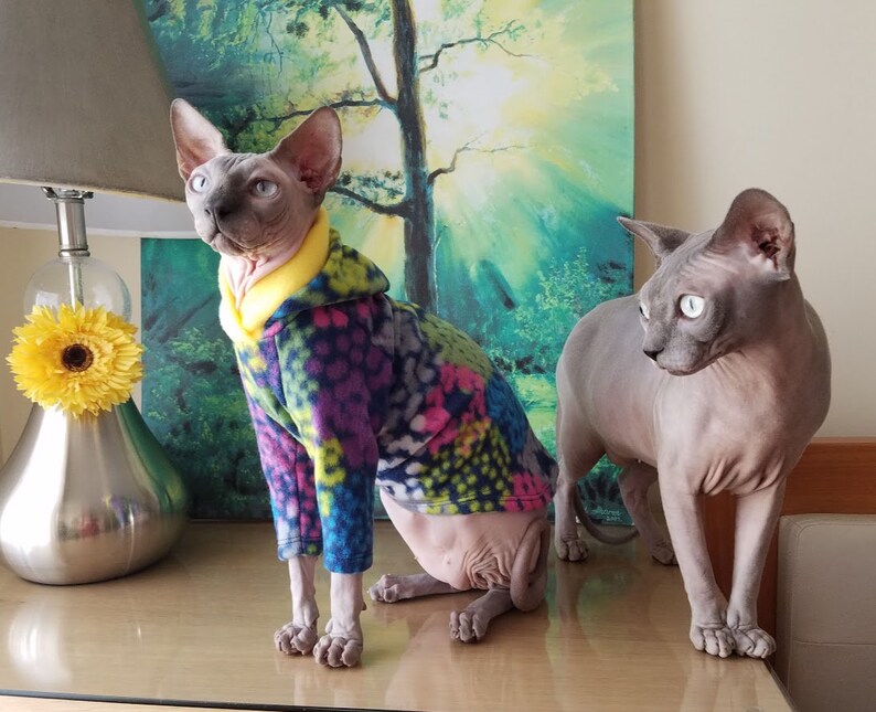 Cats sweater/ Size SMALL/ cats pajamas/ cat shirt/cat sweaters /pet sweater /Sphynx cat clothes/Sphynx clothing /cats clothes/ shirt for cat
