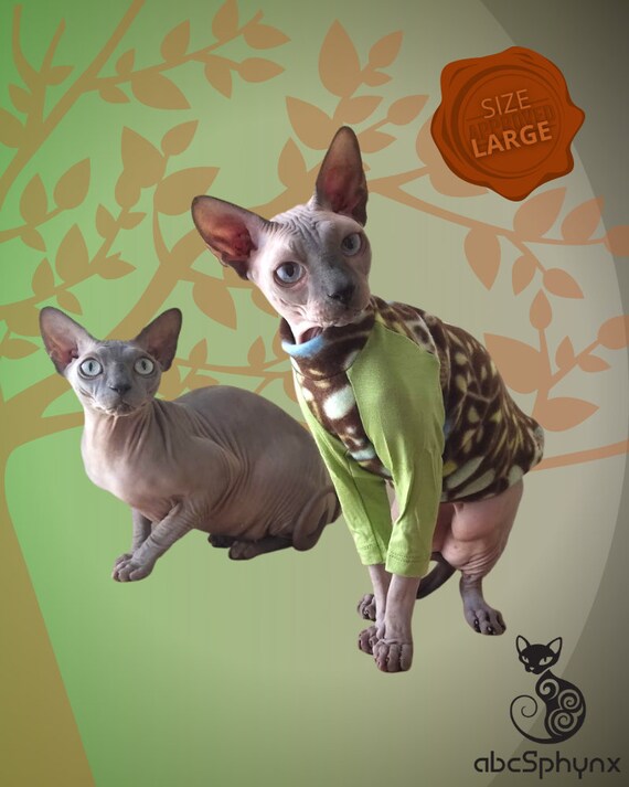 Sphynx Cat Clothes Outfits, Sphynx Cat Wearing Clothes