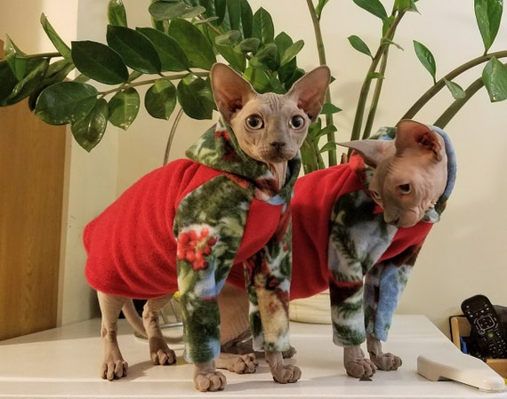 sphynx cat jacket