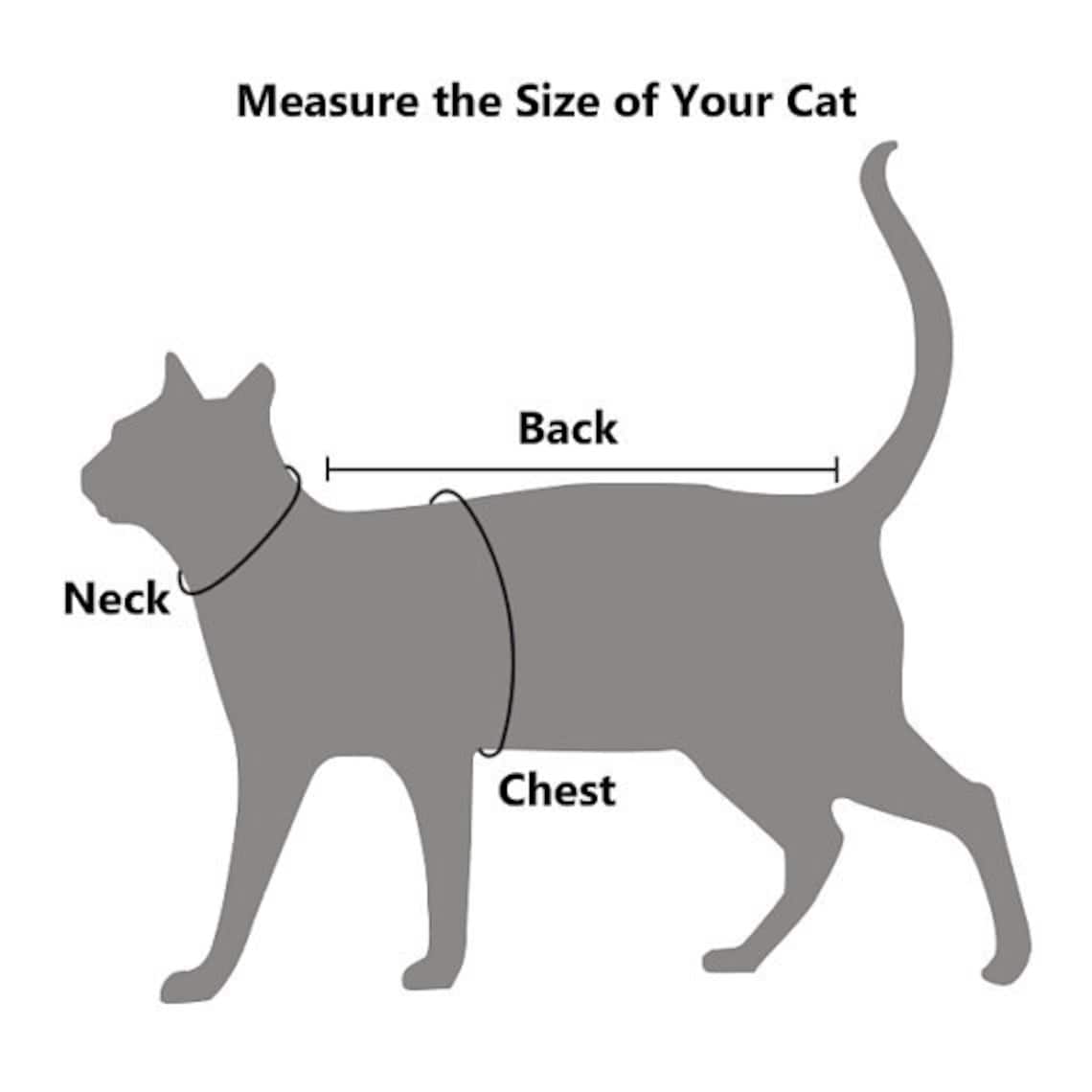 Shirt for Cat Size SMALL / Tshirt for Cats/cat Clothes /cat Etsy