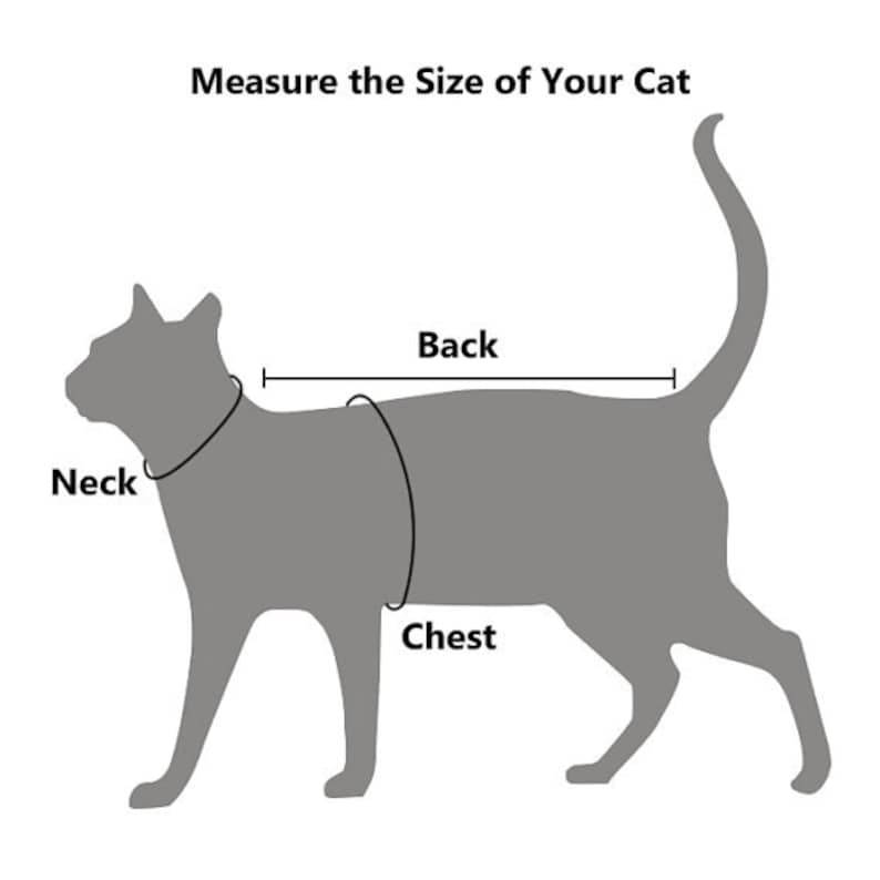 Shirt for Cat Size SMALL / Tshirt for Cats/cat Clothes /cat Etsy