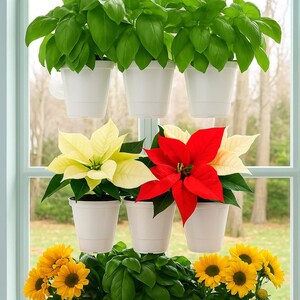 Maceta de ventana para hierbas aromáticas: una solución práctica para ahorrar espacio en interiores