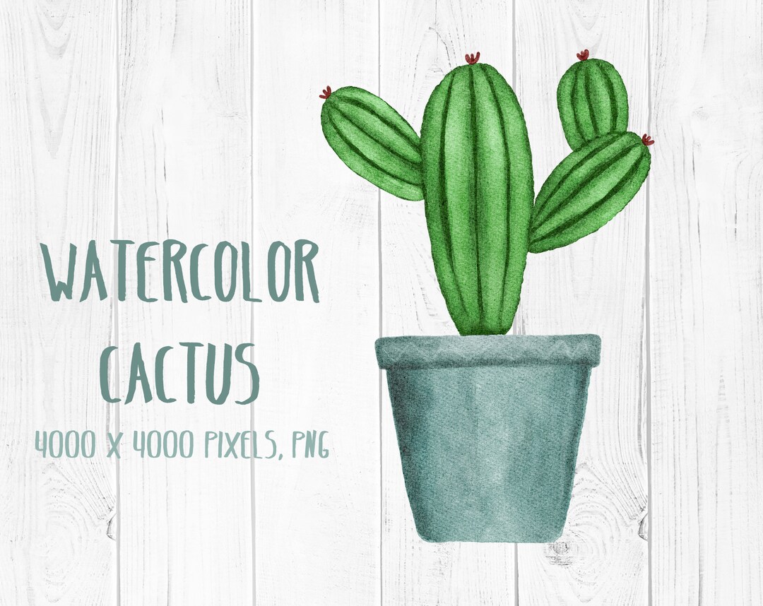 Watercolor Cactus Png Succulent Clipart Potted Cactus Png Graphics - Etsy