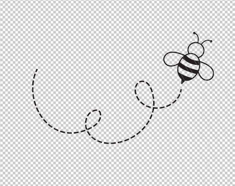 May include: A black and white bee with yellow stripes flies in a dotted line path.