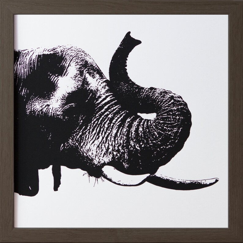 elephant print 1