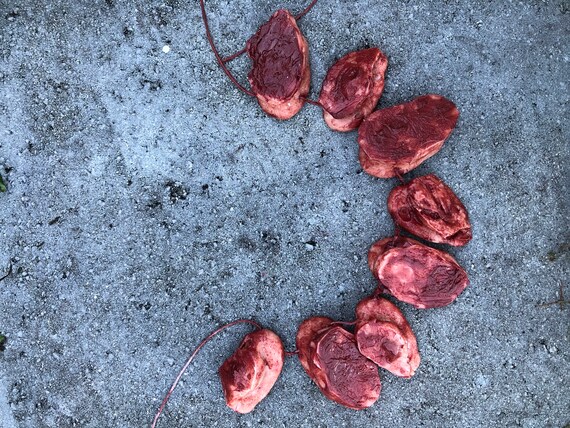 Severed Ear Necklace
