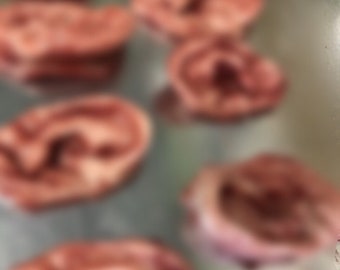 Severed silicone ear