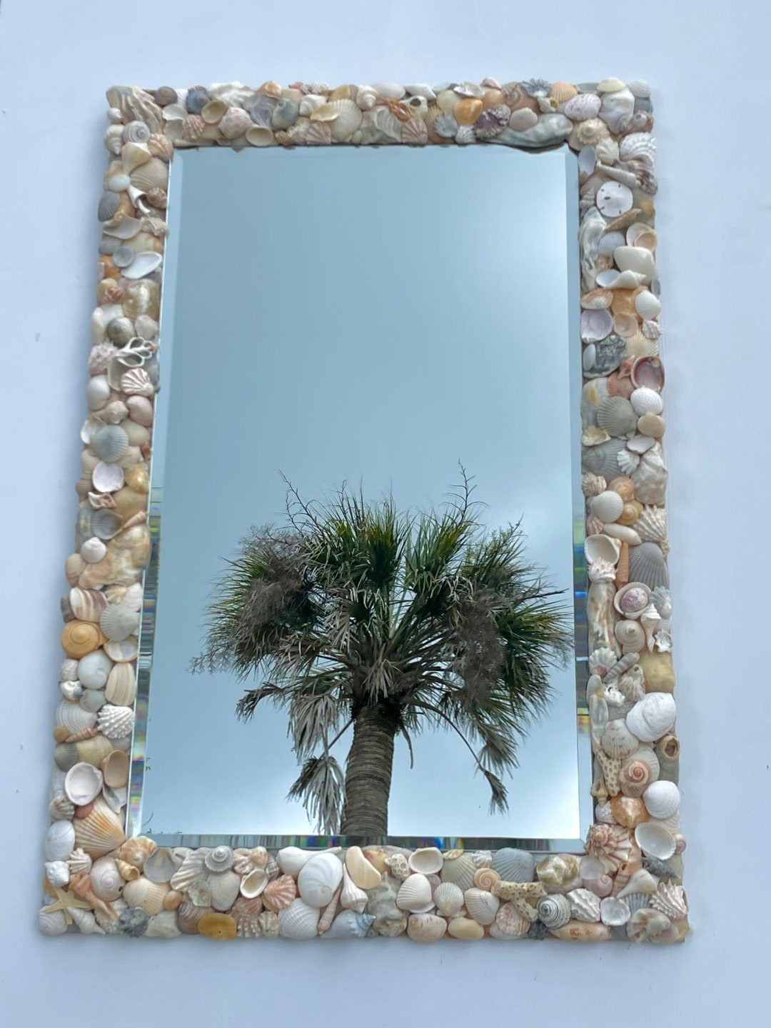 Multi Shell Mirror . Seashell Mirror . Beach Themed Mirror Etsy