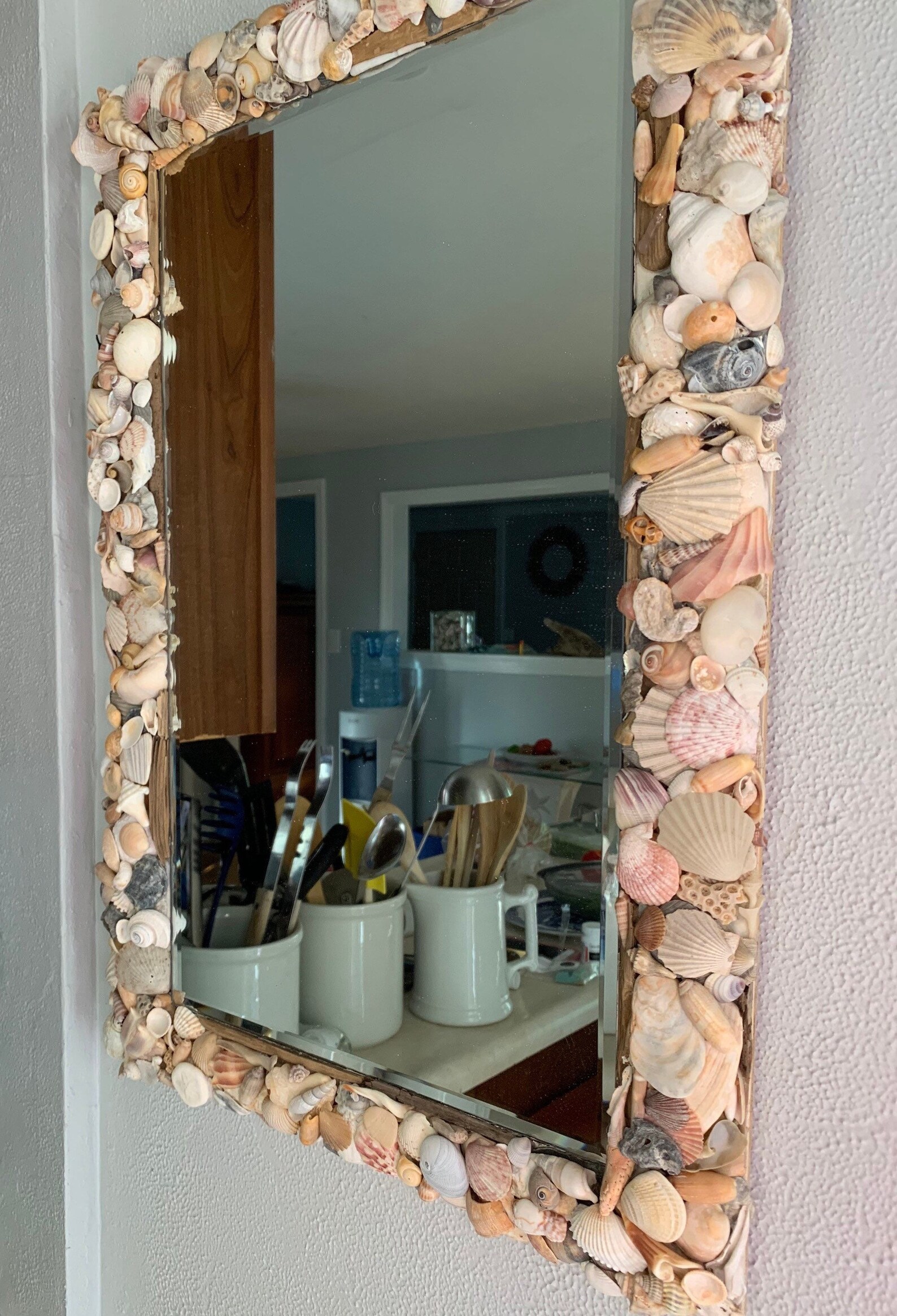 Multi Shell Mirror . Seashell Mirror . Beach Themed Mirror Etsy