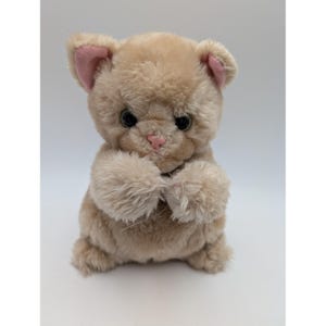May include: A plush, tan-colored kitten toy with pink inner ears and a pink nose. The kitten has large, dark eyes and is holding its paws together. The toy is designed to look like a real kitten.