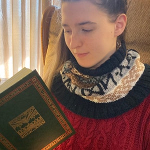 May include: A young person wearing a red knitted sweater with a black and white patterned scarf. The person is reading a green book with gold lettering and illustrations.