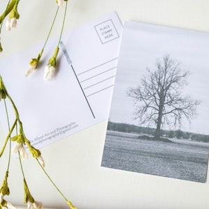 Cartão Postal 4" X 6" A Árvore