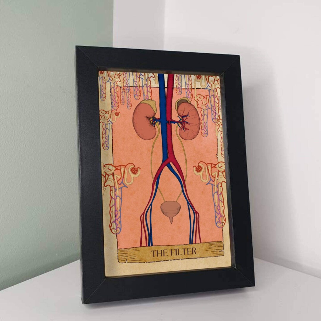 Renal Medical Tarot Card for Urologists Nephrologist Kidneys Surgeon Anatomy Bladder Nephrology