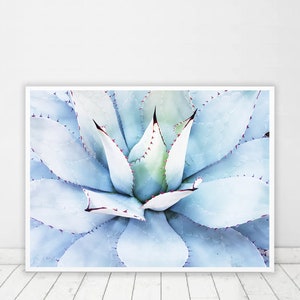 Kaktus Druck, Aloe Vera Wandkunst, Kakteen digitaler Download, Wüste Wanddeko, tropische Wandkunst, Grünes Poster, pflanzen druckbare Kunst, minimal