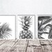 Candice reviewed Palm leaves printable art, set of three, tropical prints, pineapple poster, black and white, minimal decor, palm tree wall art, digital art