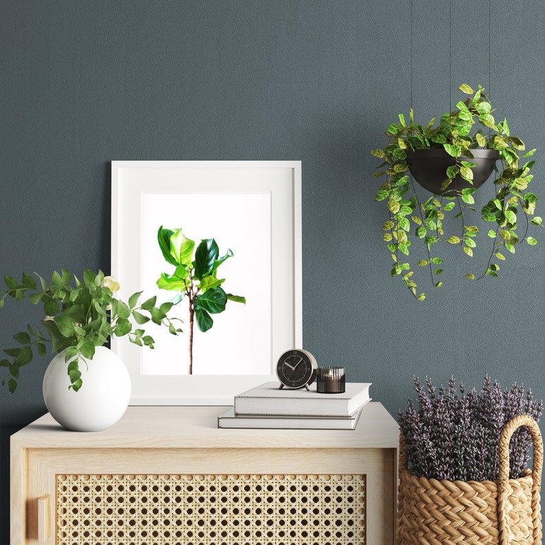 Leaf Art Print Botanical Wall Art Green Leaf Art Nature Etsy